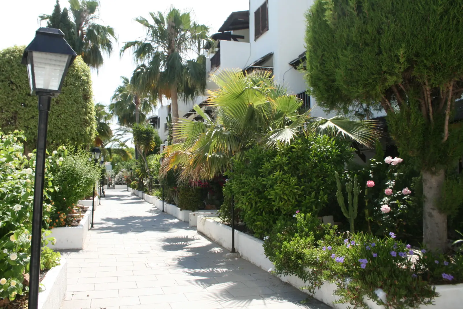 Uliczka dla pieszych z ogrodami i palmami w kompleksie apartamentów Marino w Las Fuentes (Alcossebre)